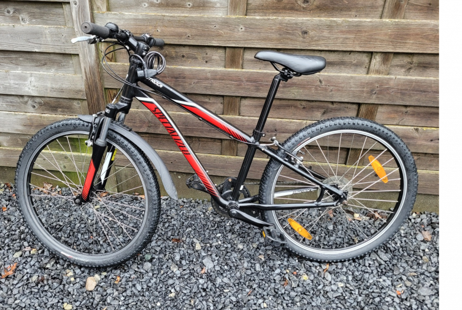 nishiki youth mountain bike