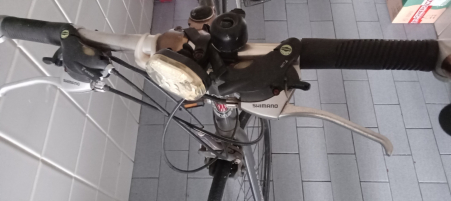 Zannata  2019