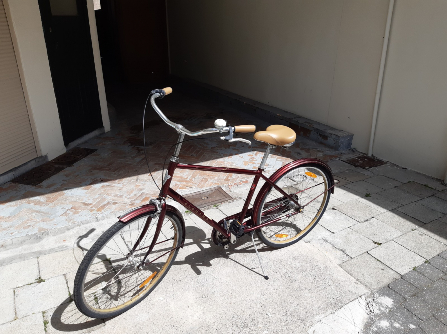 electra bs6 price