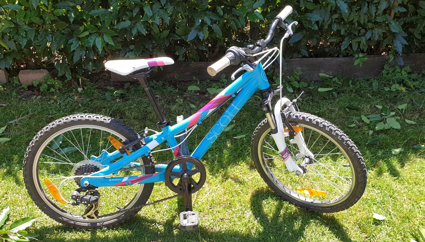 scott contessa 2017