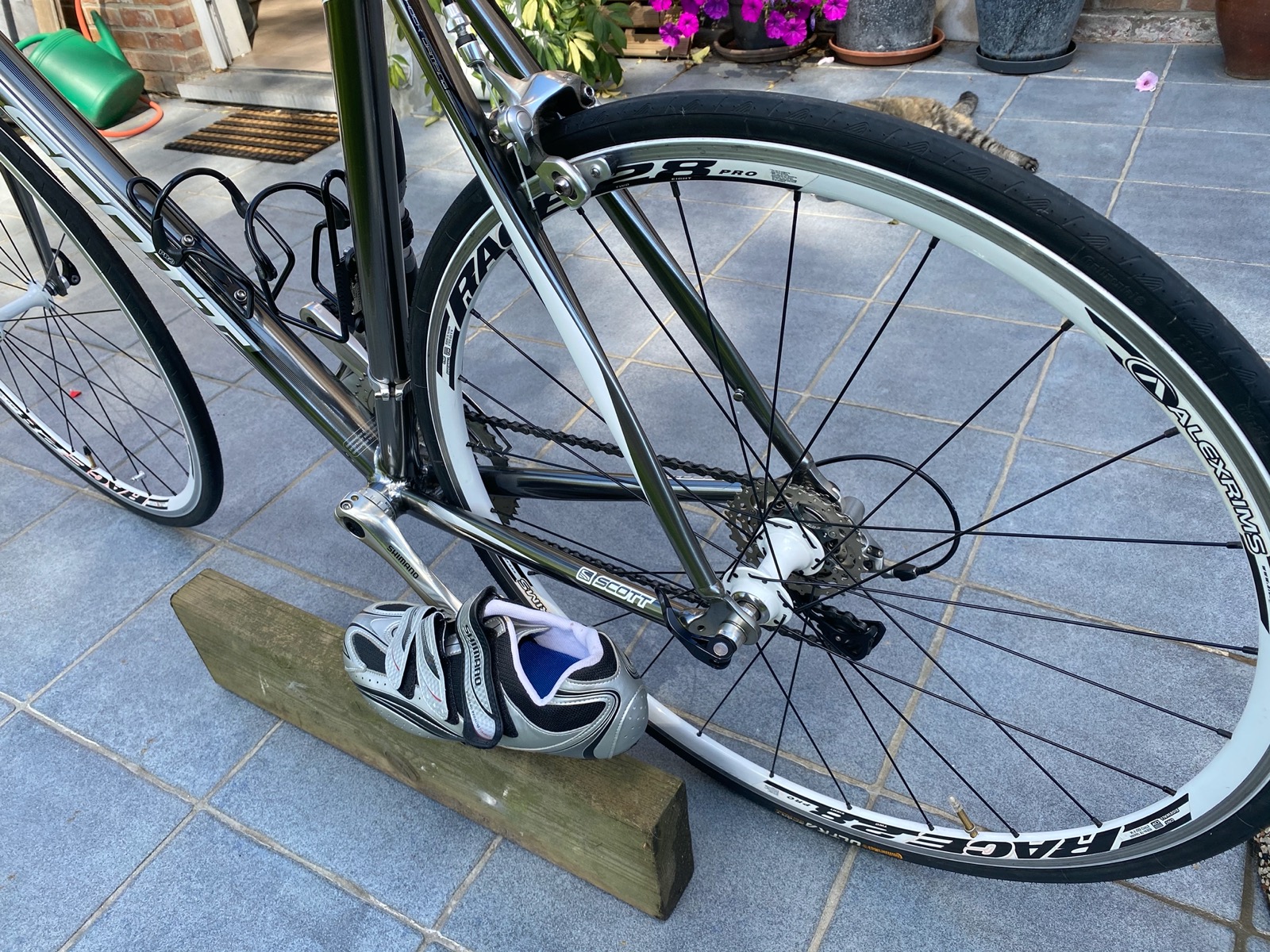 scott speedster xxl