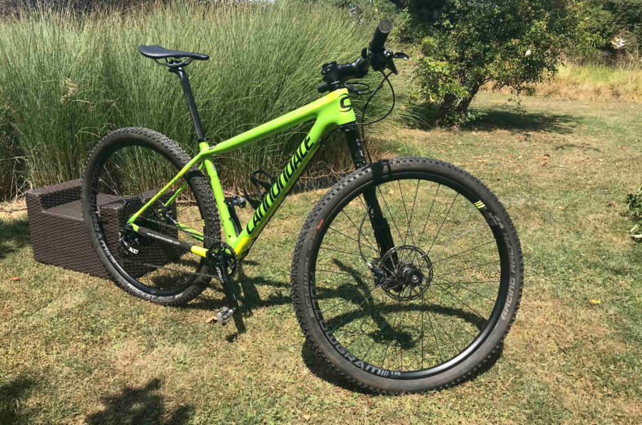 sporting life cannondale