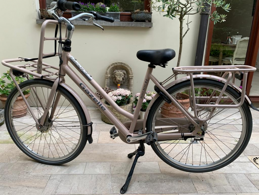 gazelle miss grace c7 hmb 2018