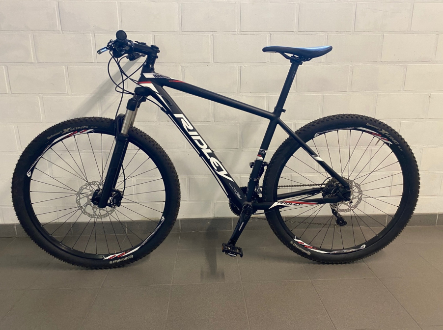 ridley ignite frame