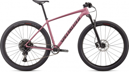 Specialized Chisel 2021