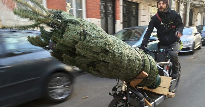 Molenbike kerstboom